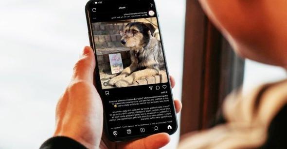 Photo of a man holding a phone with an image of a dog displayed.